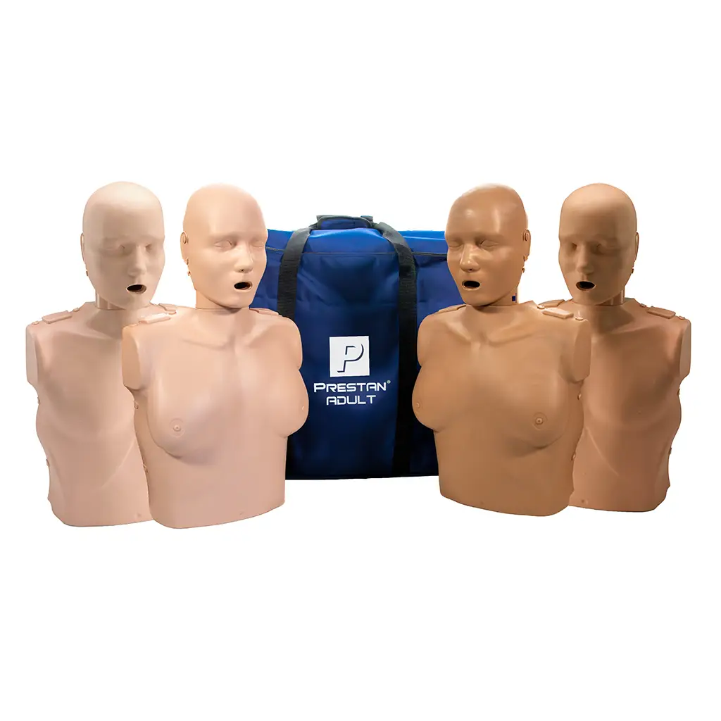 Professional-Adult-Manikin-PP-AM-401M-MSDS.webp